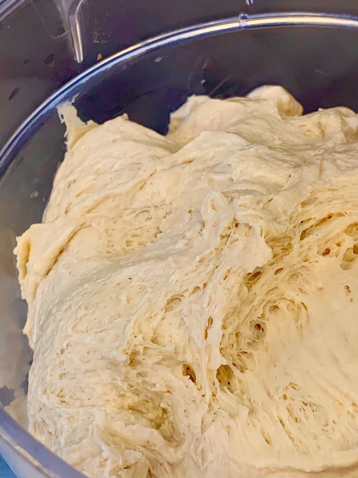 Sourdough Starter